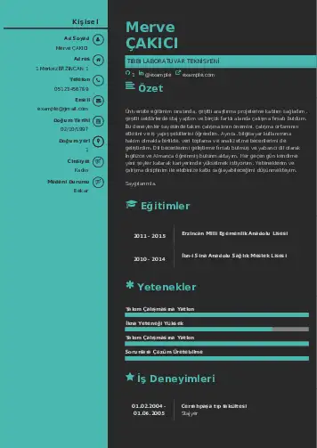Laboratuvar Teknisyeni Cv Örnekleri cv indir